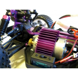 Amax BOOSTER (1:10 buggy 4WD)