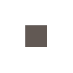 Pactra A053 - Wheathering (M)